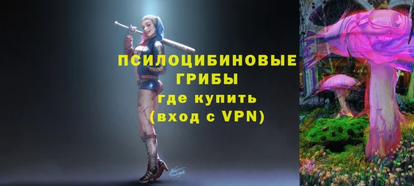 спайс Абаза