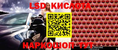 прущие крисы Кулебаки